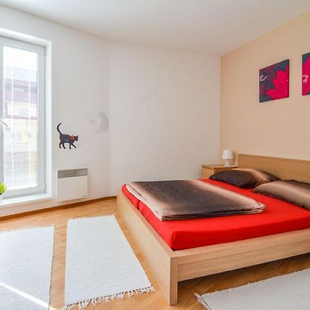 Apartman U Kostela Destne v Orlickych horach Eksteriør billede