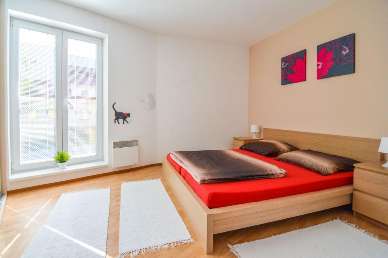 Apartman U Kostela Destne v Orlickych horach Eksteriør billede